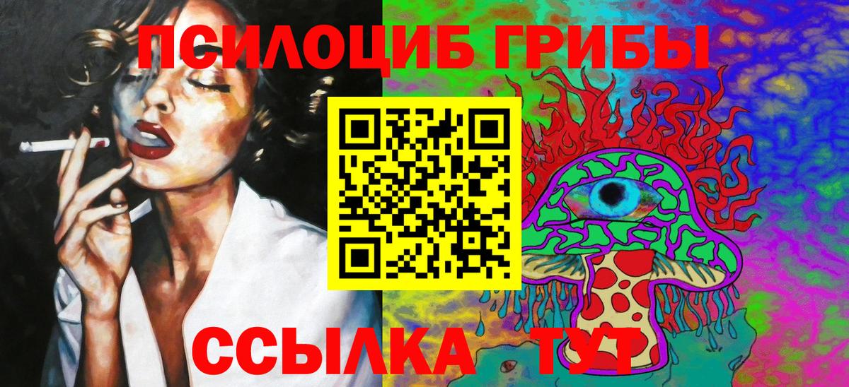 Галлюциногенные грибы Cubensis  Псилоцибиновые грибы Psilocybine cubensis  наркошоп  Богородицк  Вход с VPN 