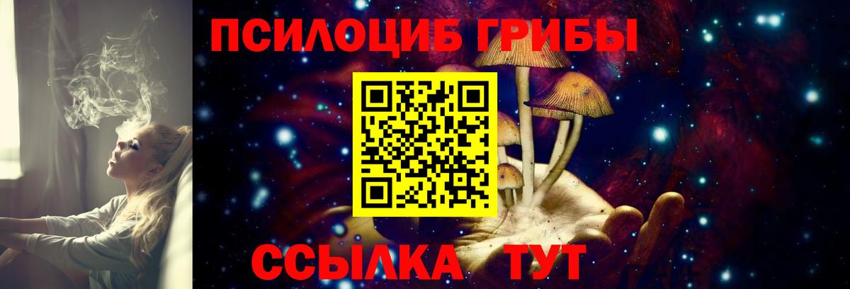 Галлюциногенные грибы Psilocybe Богородицк